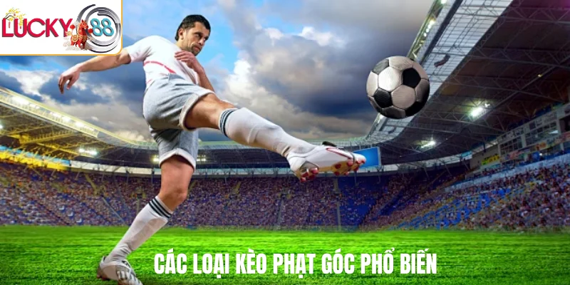Các loại kèo phạt góc phổ biến