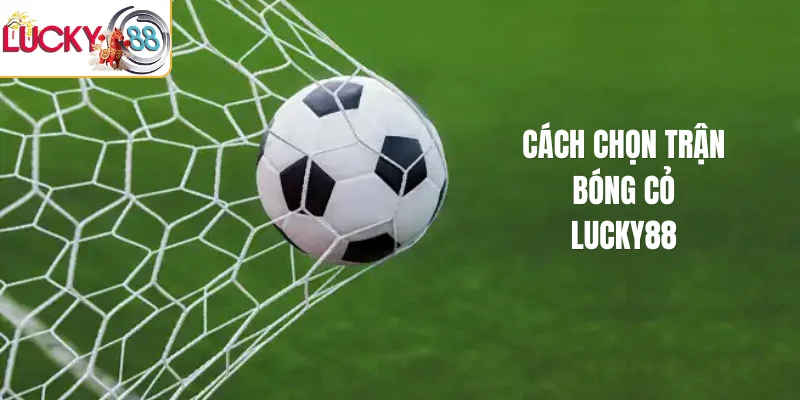 Cách chọn trận bóng cỏ LUCKY88