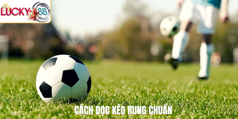 Cách đọc kèo rung chuẩn