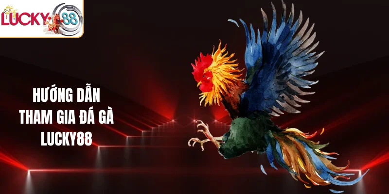 Hướng dẫn tham gia đá gà LUCKY88